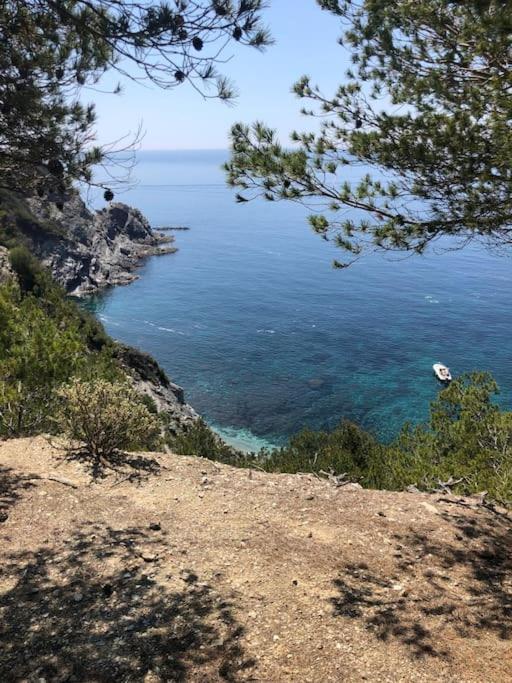 Charmant Studio Dans Villa - Parking - Jardin La Seyne-sur-Mer Esterno foto